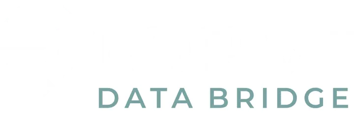 RDrive Data Bridge logo, the systems integration product in the RDrive range